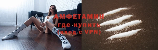 твердый Мегион