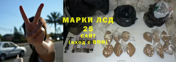 твердый Мегион