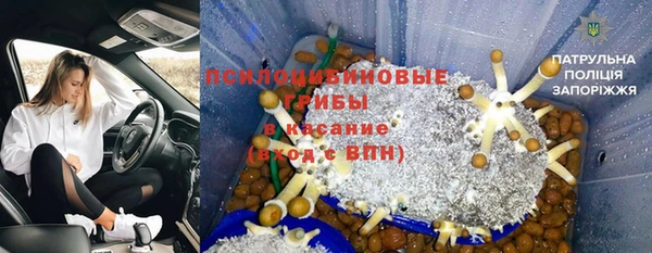 спайс Магас