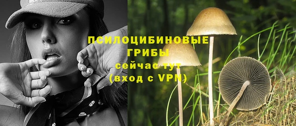 MDMA Premium VHQ Медногорск