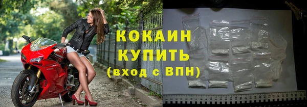 твердый Мегион